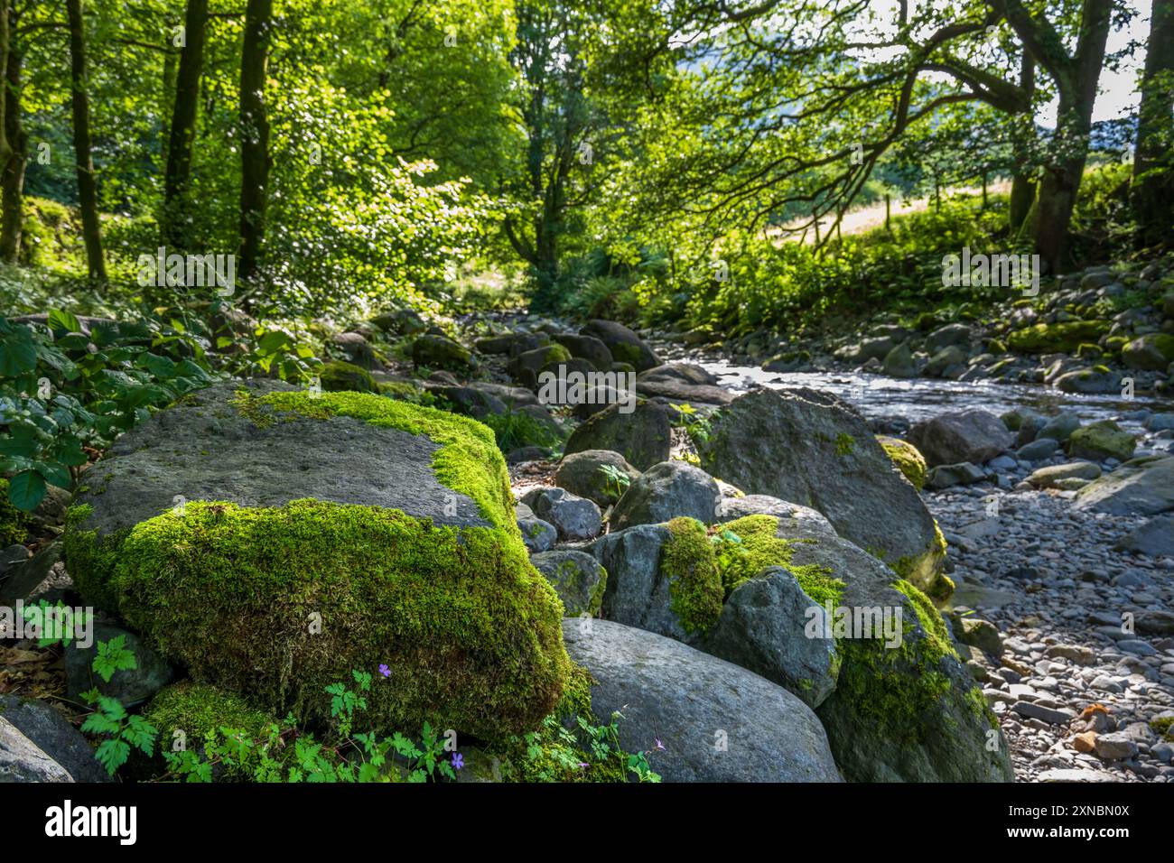 Ullswater oder Glenridding Beck im verfleckten Sonnenlicht. Stockfoto
