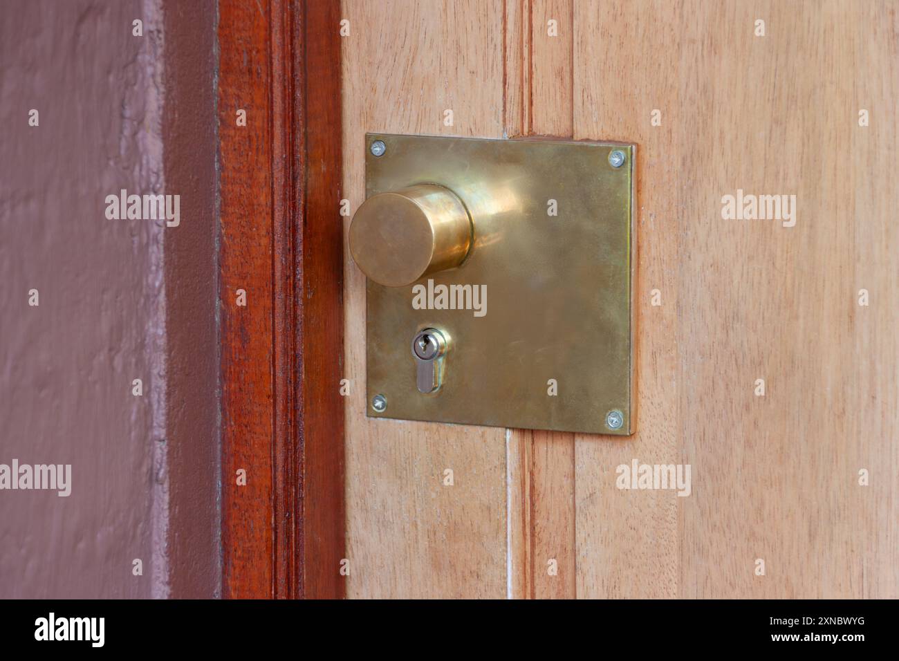 Türknauf und Schloss, goldfarbenes Messingschild am Griff, Holztür Stockfoto