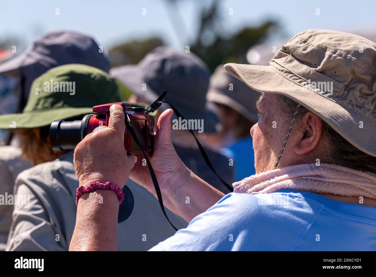 Touristen auf der Suche nach Jaguaren, die berühmte Jaguar Safari, Meeting of Waters Park, Pantanal von Mato Grosso, Brasilien Stockfoto