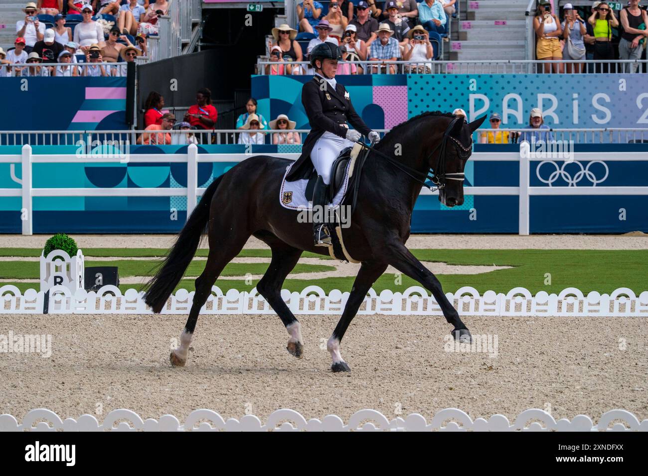Versailles, Frankreich. 31. Juli 2024. Isabell WERTH reitet WENDY DE FONTAINE, Pferdesport, Dressurteam und Grand Prix während der Olympischen Spiele Paris 2024 am 31. Juli 2024 im Château de Versailles in Versailles, Frankreich - Foto Christophe Bricot/DPPI Media Credit: DPPI Media/Alamy Live News Stockfoto