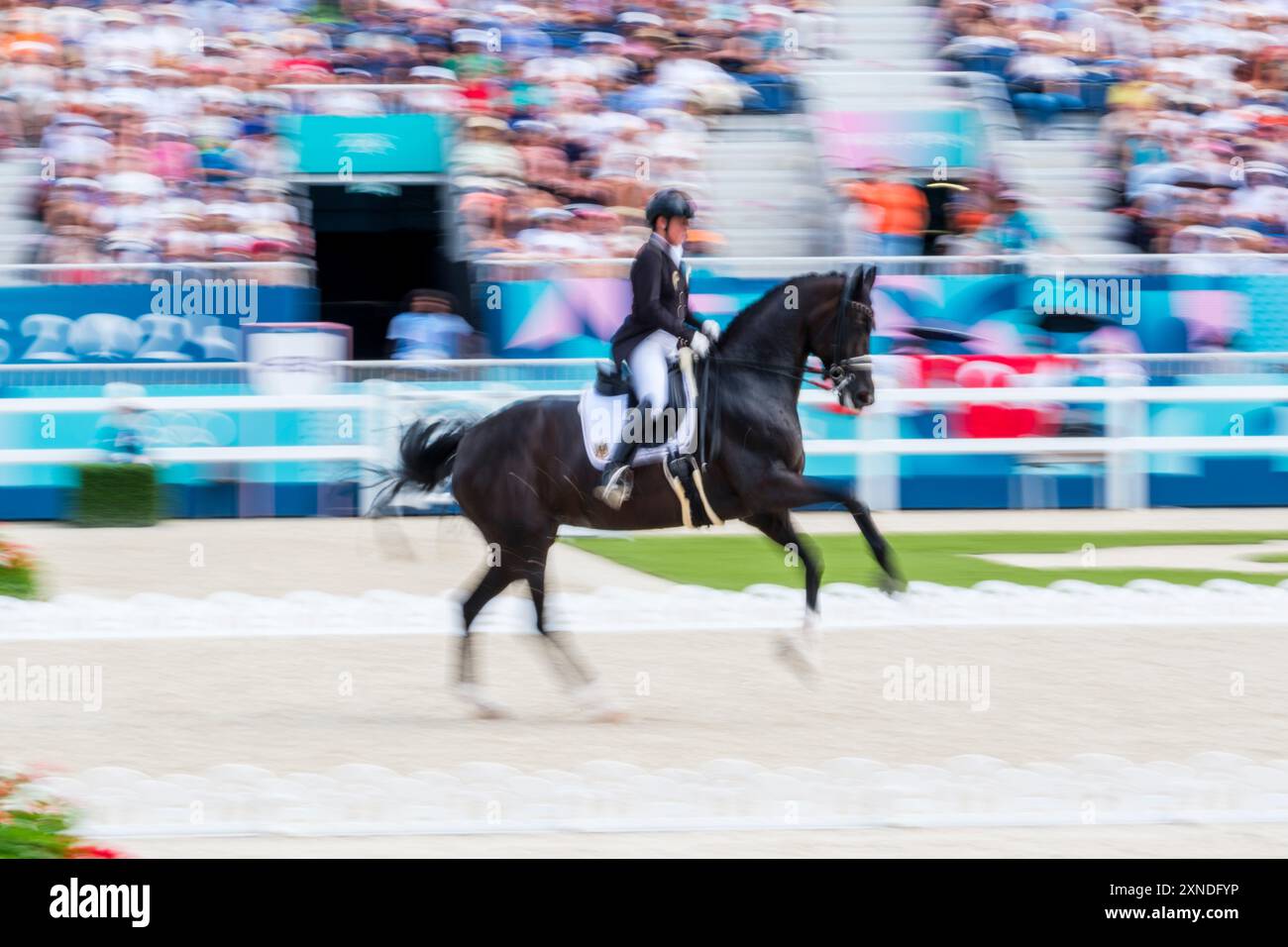 Versailles, Frankreich. 31. Juli 2024. Isabell WERTH reitet WENDY DE FONTAINE, Pferdesport, Dressurteam und Grand Prix während der Olympischen Spiele Paris 2024 am 31. Juli 2024 im Château de Versailles in Versailles, Frankreich - Foto Christophe Bricot/DPPI Media Credit: DPPI Media/Alamy Live News Stockfoto