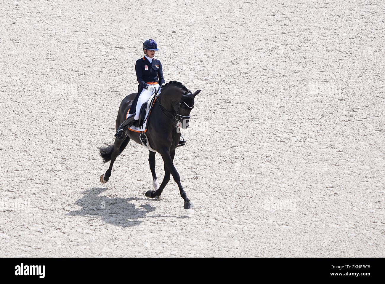 Versailles, Frankreich. 31. Juli 2024. Emmelie Scholtens aus den Niederlanden mit Pferd Indian Rock tritt am 2. Tag des Dressurpferdes bei den Olympischen Spielen 2024 in Versailles, Frankreich, am 31. Juli 2024 an. Quelle: Yang Lei/Xinhua/Alamy Live News Stockfoto