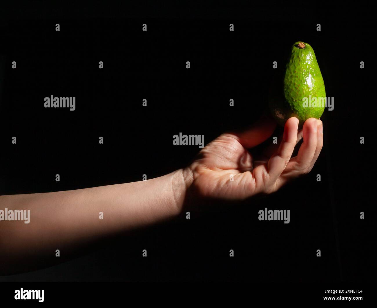 Avocado in der Hand auf schwarzem Hintergrund Stockfoto