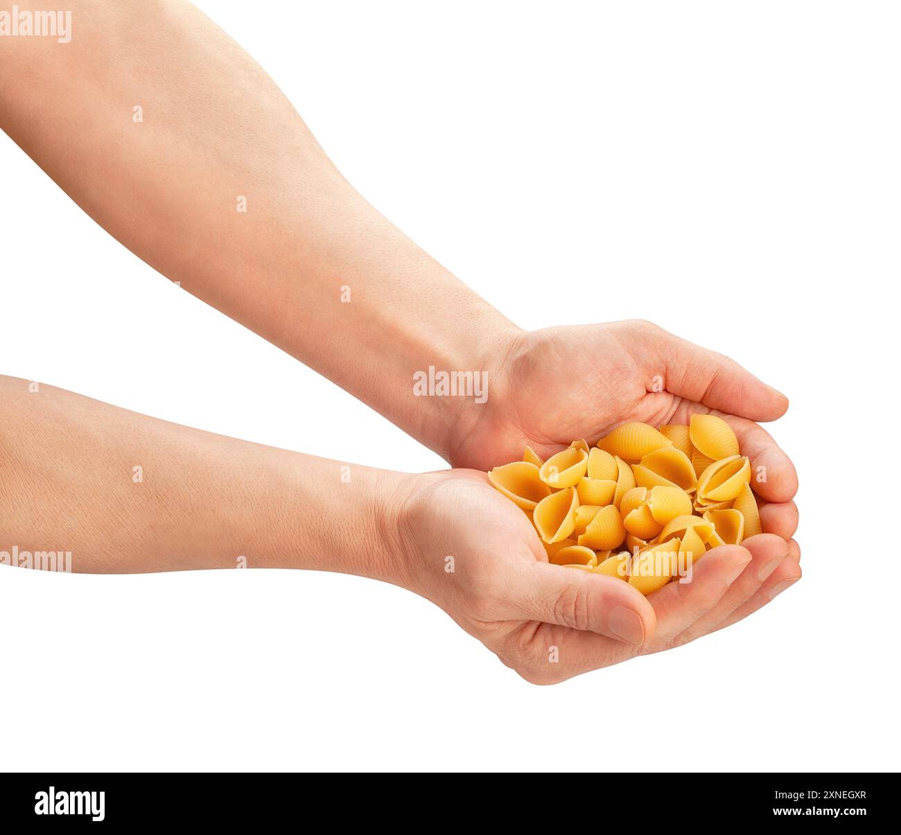 Pasta Conchiglie im Handweg isoliert auf weiß Stockfoto