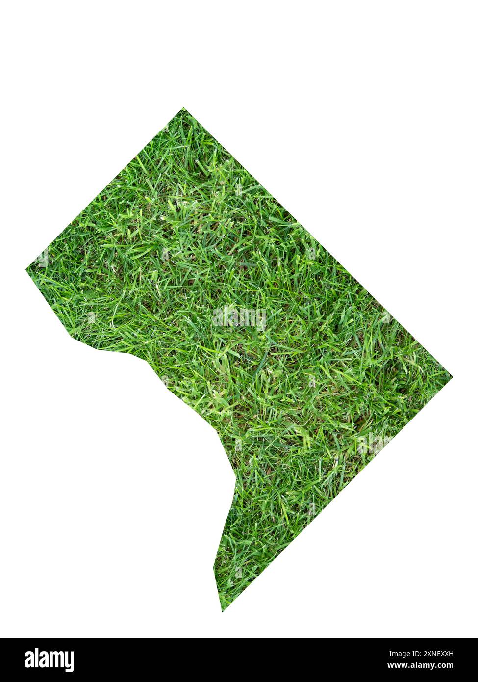 Symbol Karte des Federal District Washington, District of Columbia (Vereinigte Staaten von Amerika), die das Territorium des Bundesstaates als Rasenfußball darstellt Stockfoto