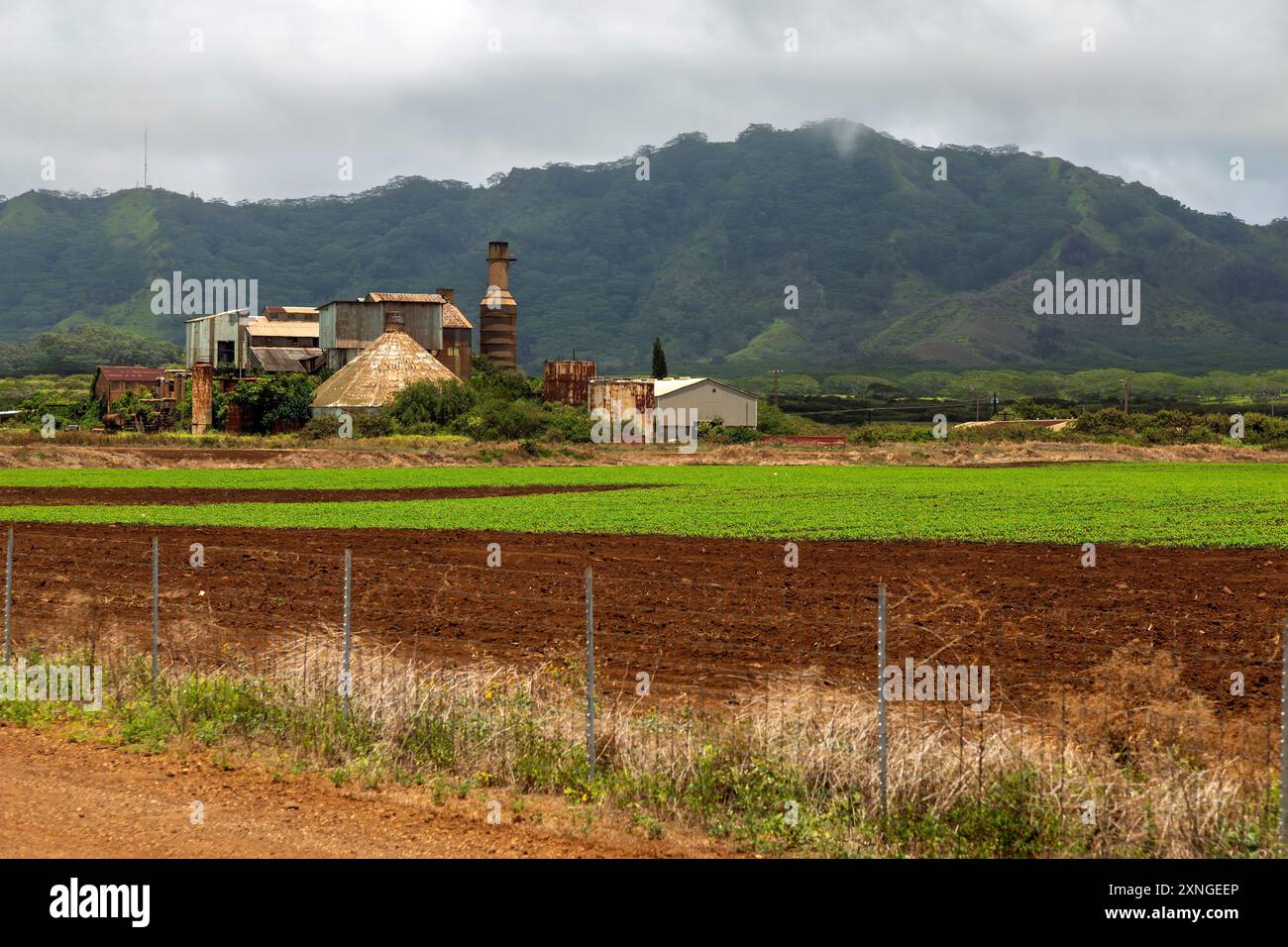 Eine verlassene Zuckerrohrfabrik auf der Insel Kauai in der Stadt Koloa. Stockfoto