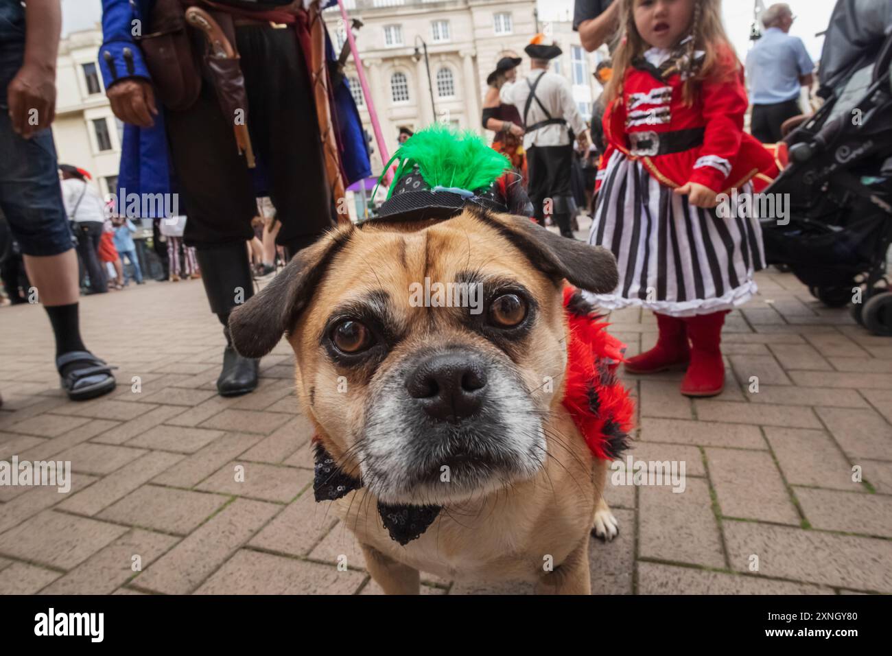 England, East Sussex, Hastings, das jährliche Pirate Day Festival, Portrait of PET Dog in Festival Kostüm Stockfoto