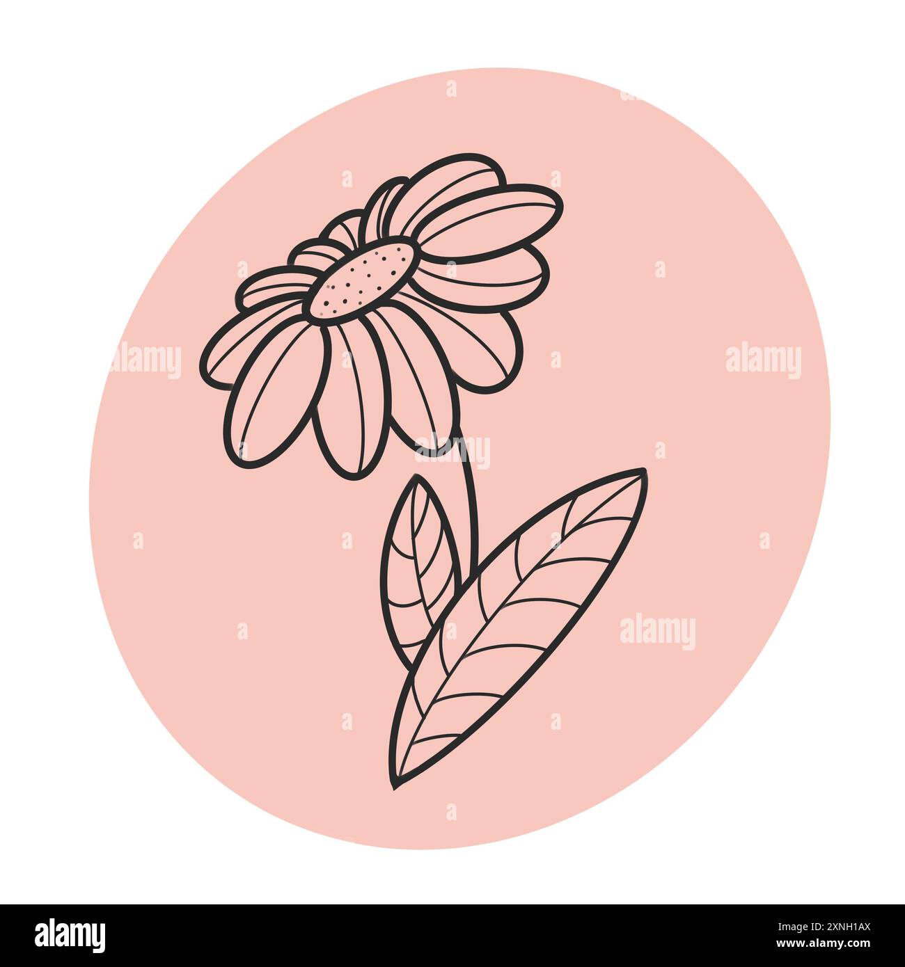 Illustration mit Strichzeichnung Blumen Stockfoto