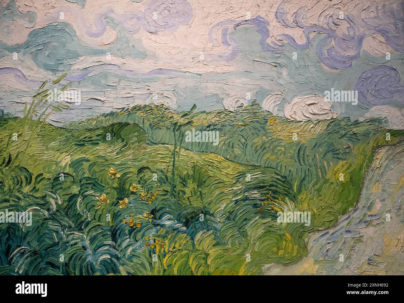 Gemälde von Vincent Van Gogh namens Green Wheat Fields, Auvers, gemalt 1890 Stockfoto