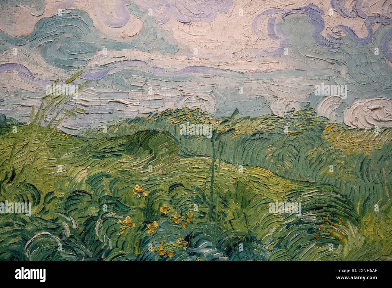 Gemälde von Vincent Van Gogh namens Green Wheat Fields, Auvers, gemalt 1890 Stockfoto