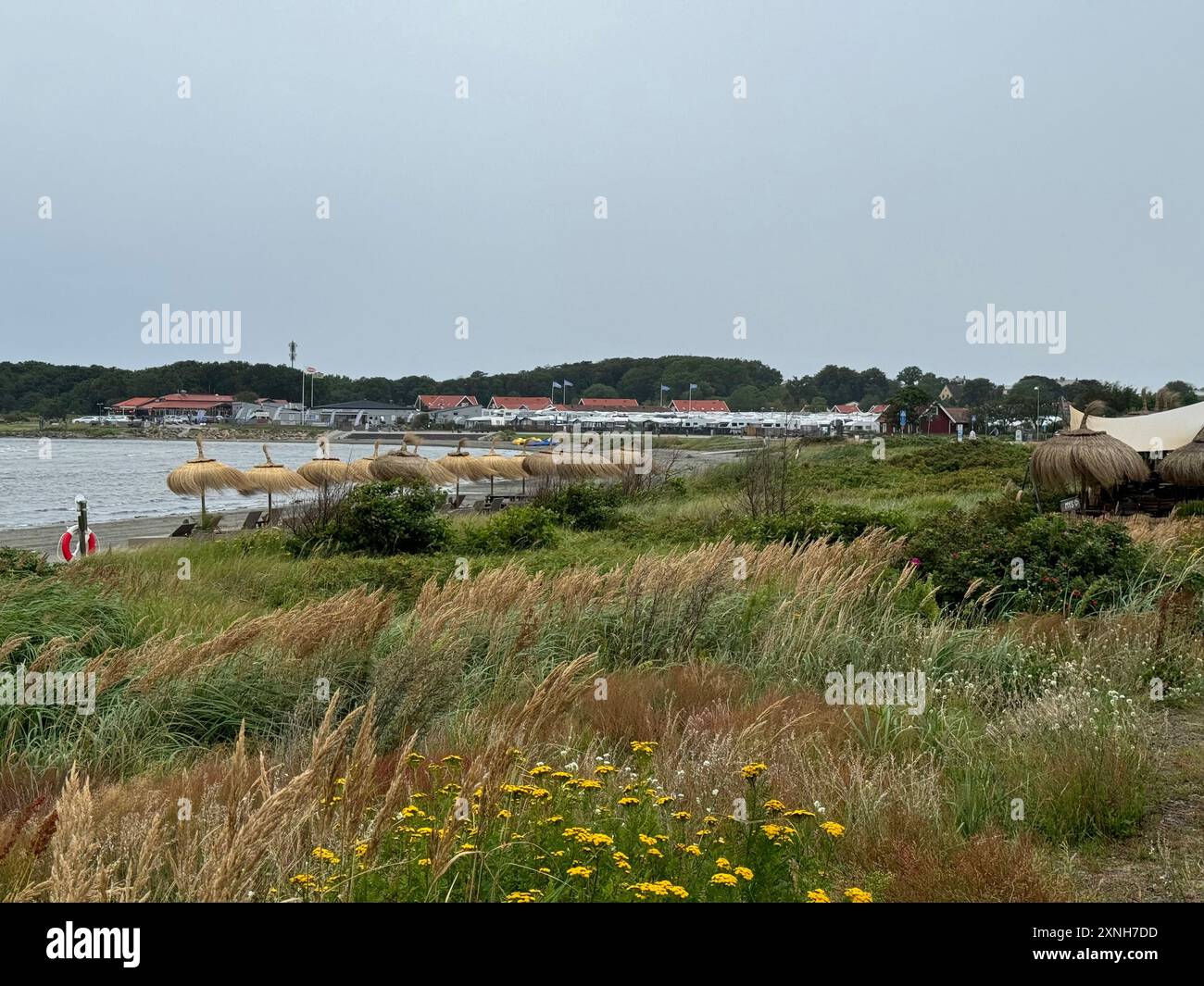 Küstenlandschaft mit grasbewachsenen Dünen und Küstenhütten in der Ferne. Ideal für Natur, Reisen und friedliche Küstenlandschaften. Stockfoto