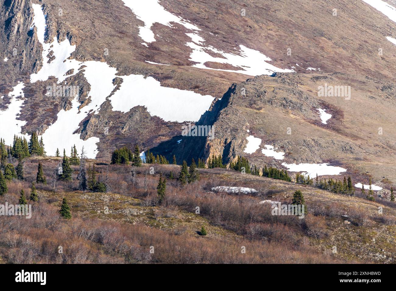 Blick von einem abgelegenen Wildnis-Wanderweg im Norden Kanadas während der Frühlingszeit im Mai. Yukon Territory im Kluane National Park. Stockfoto