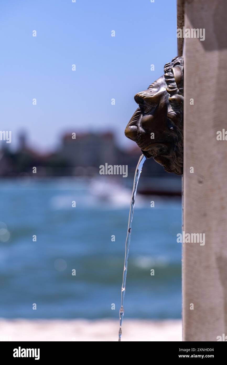 Messing Löwe Wasserauslauf Venedig Italien Stockfoto