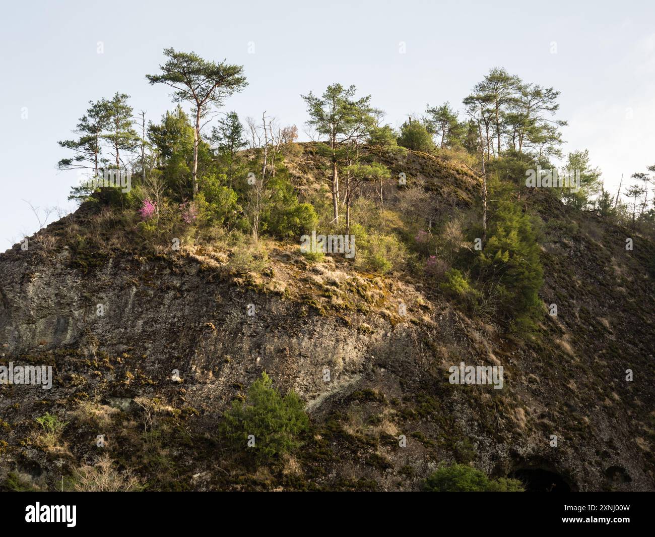 Furuiwaya Felsformationen in Kuma Kogen - Präfektur Ehime, Japan Stockfoto