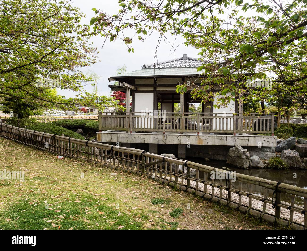 Frühling im Jonofuchi Park in Matsuyama - Präfektur Ehime, Japan Stockfoto