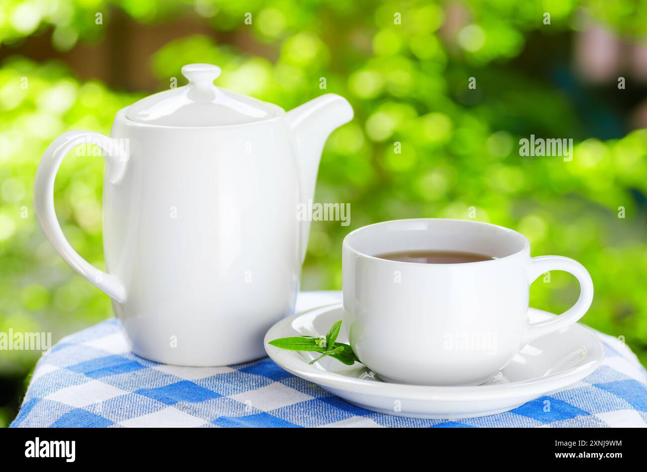 Tasse Tee auf Naturhintergrund Stockfoto