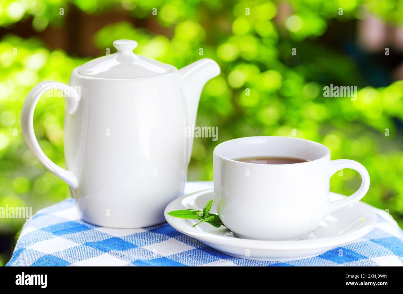 Tasse Tee auf Naturhintergrund Stockfoto