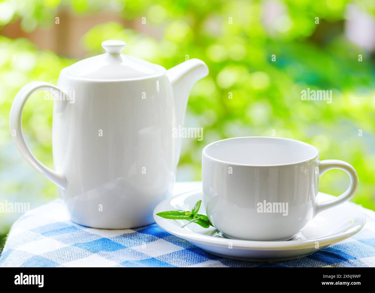 Tasse Tee auf Naturhintergrund Stockfoto