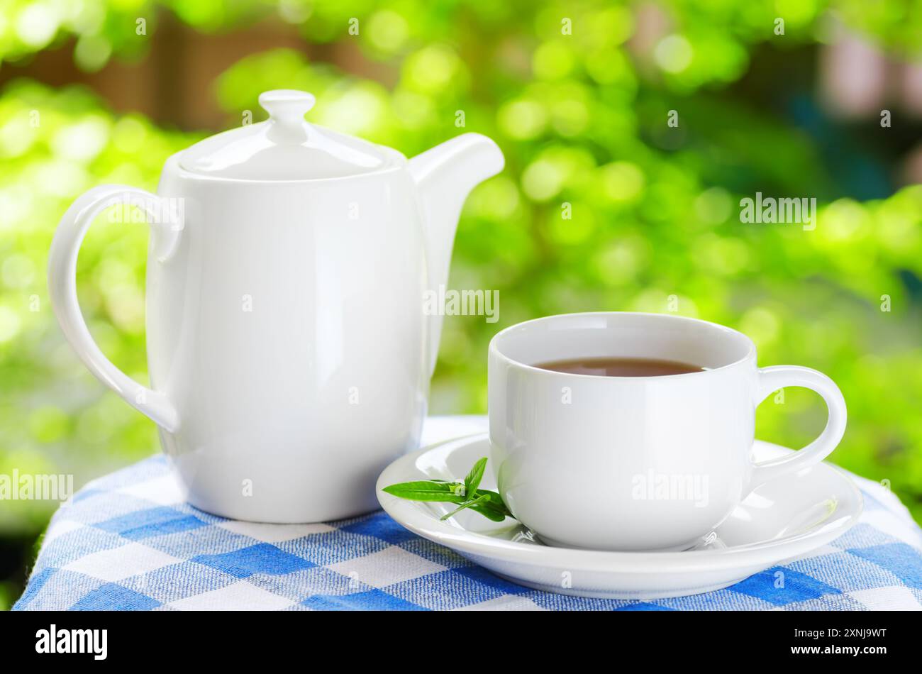 Tasse Tee auf Naturhintergrund Stockfoto