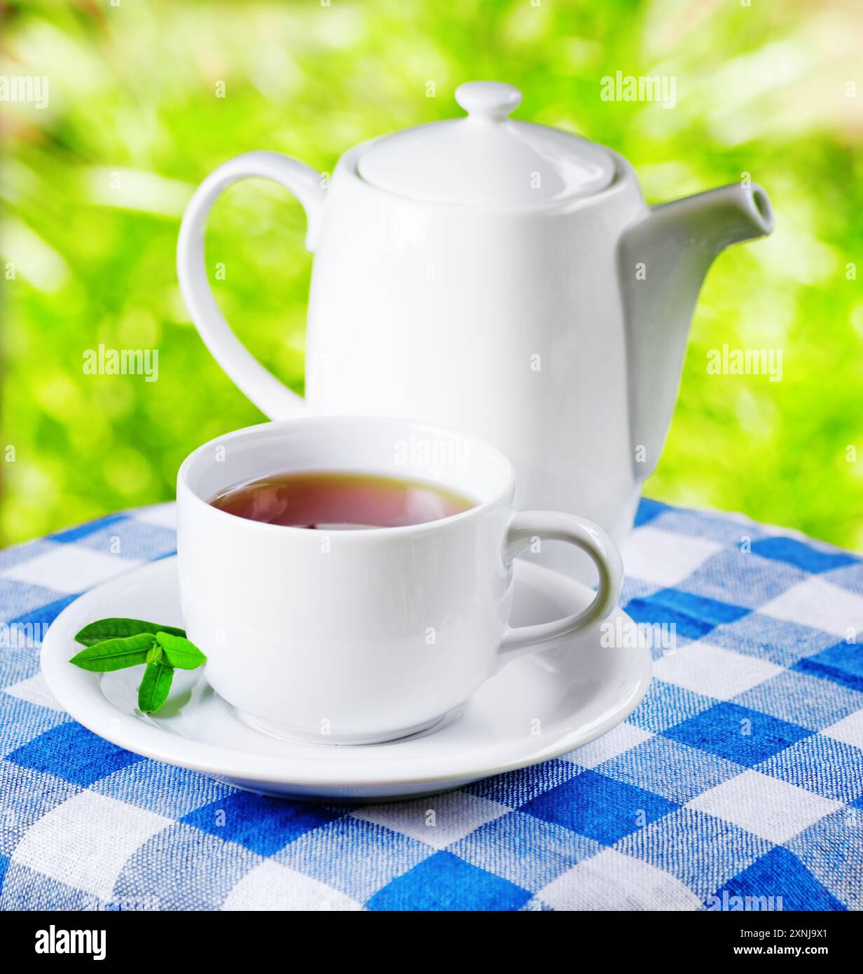 Tasse Tee auf Naturhintergrund Stockfoto