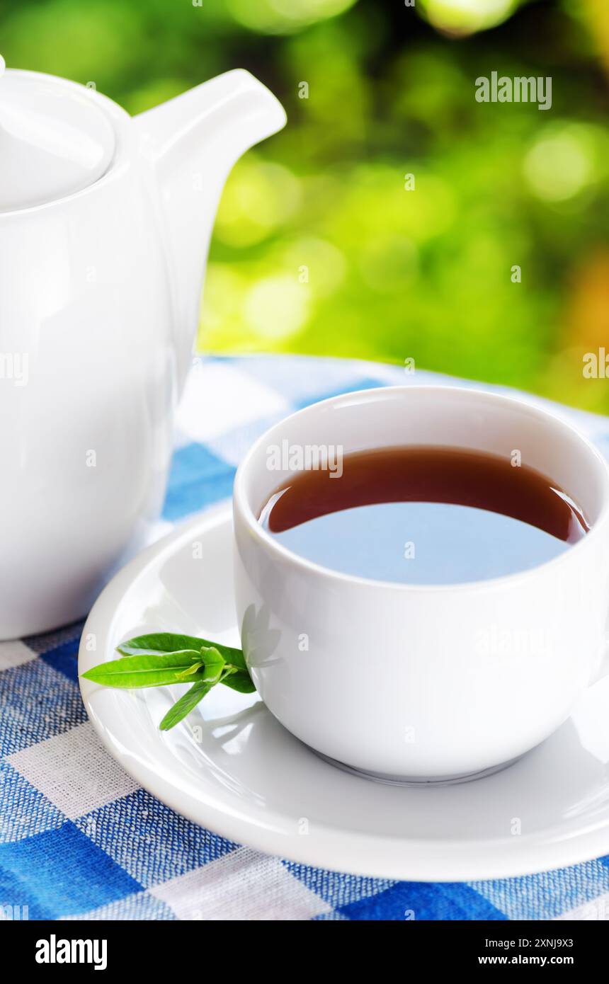 Tasse Tee auf Naturhintergrund Stockfoto