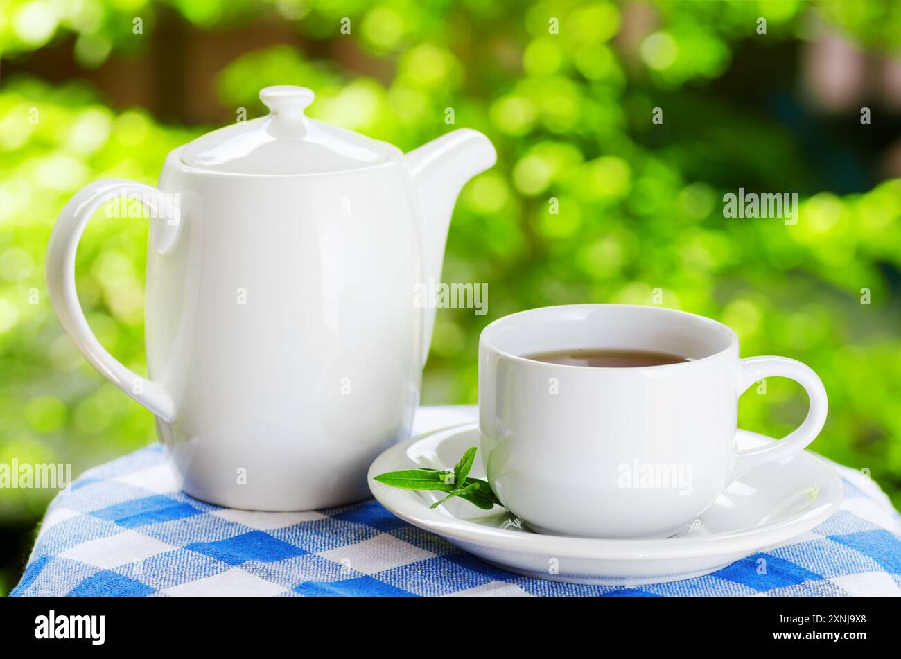 Tasse Tee auf Naturhintergrund Stockfoto