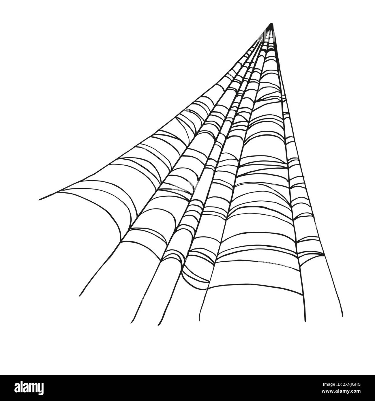 Spinnennetzlinie, handgezeichnetes traditionelles Halloween dekoratives Element, schwarz-weiße Vektor-Illustration des Spinnennetzes, Insekten wildes Leben auf weißem Backgr Stock Vektor