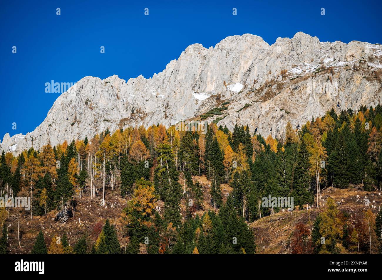 Val Pesarina in herbstlicher Atmosphäre. Zwischen Wäldern und den alten Orias-Ställen. Stockfoto