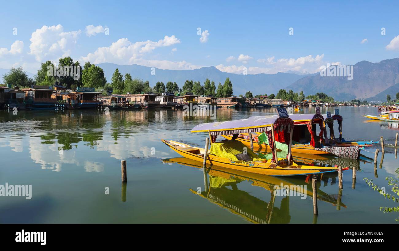 Blick auf Shikara Boote und Hausboote auf Dal Lake, Srinagar, Jammu und Kaschmir, Indien. Stockfoto