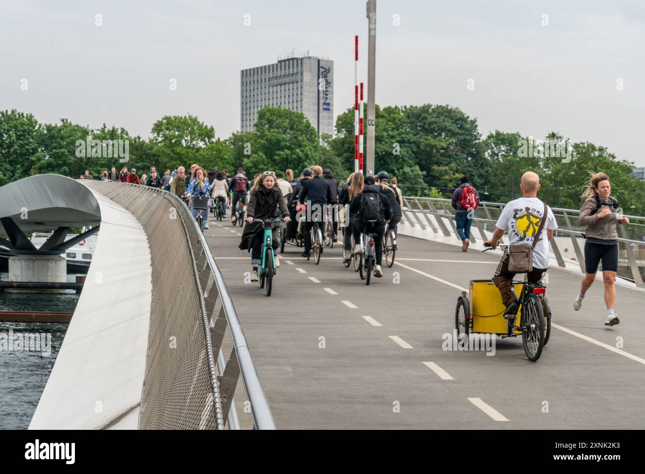 Fahrradfahrer auf der Lille Langebro Brücke , Fahrradbrücke, Architekten Wilkinson Eyre und Büro Happold, Kopenhagen Hafen, Dänemark Stockfoto
