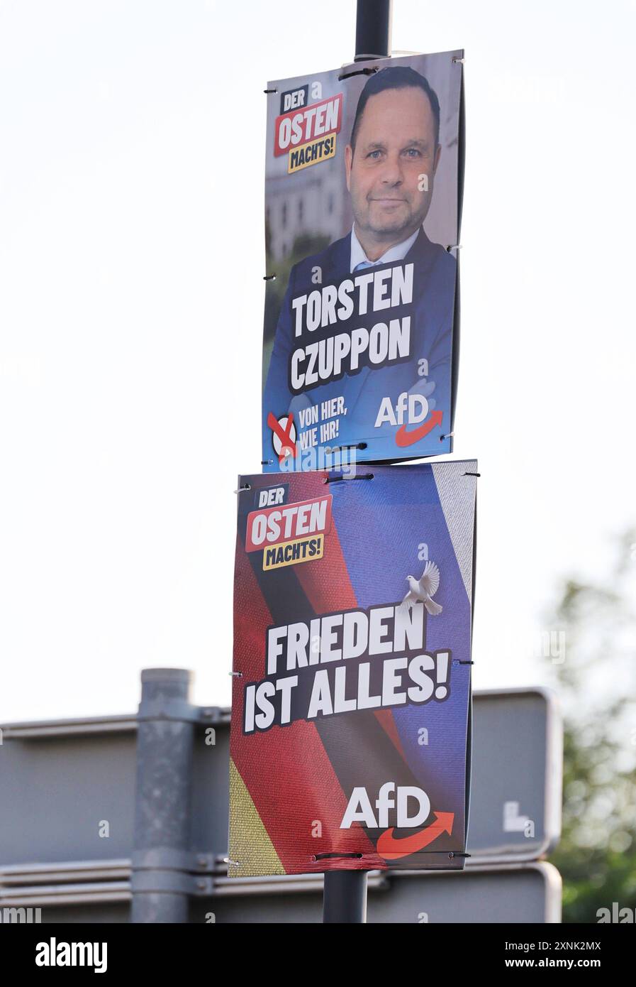 Afd wahlplakate -Fotos und -Bildmaterial in hoher Auflösung – Alamy