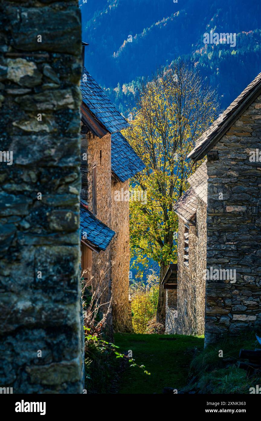 Val Pesarina in herbstlicher Atmosphäre. Zwischen Wäldern und den alten Orias-Ställen. Stockfoto