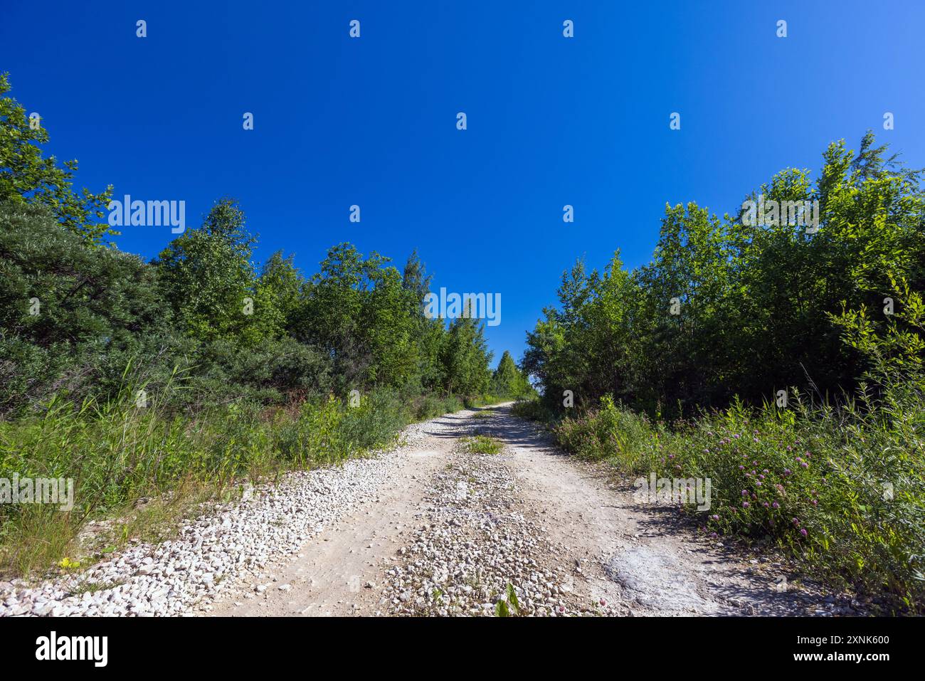 An einem sonnigen Tag steht die leere Landstraße unter blauem Himmel. Sommerlandschaftsfoto Stockfoto