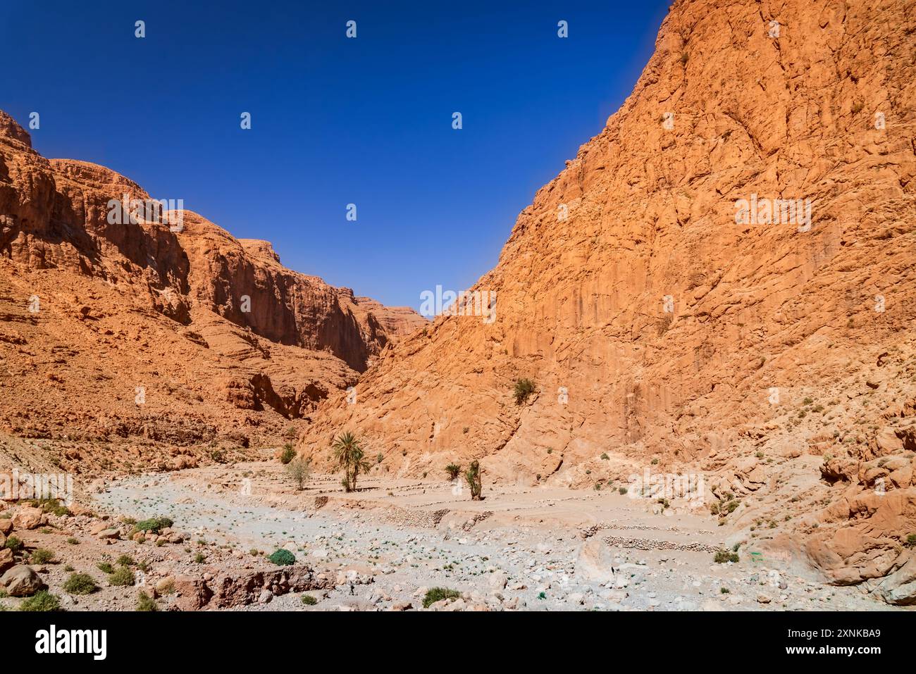 Todgha Gorge, Marokko. Wadi (Kalksteinschluchten) im östlichen Teil des Hohen Atlasgebirges in Nordafrika. Stockfoto