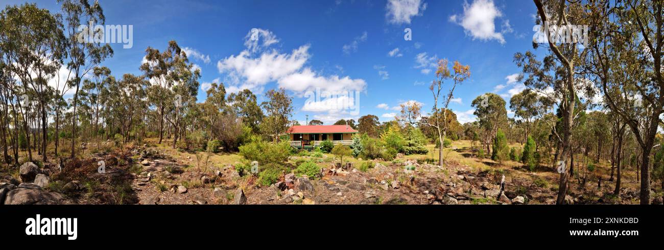 Australian Bush Stanthorpe Queensland // STANTHORPE, Queensland, Australien – Ein Blick auf den australischen Busch in der Nähe von Stanthorpe, der die raue Schönheit der Granitgürtel-Region zeigt. Stockfoto