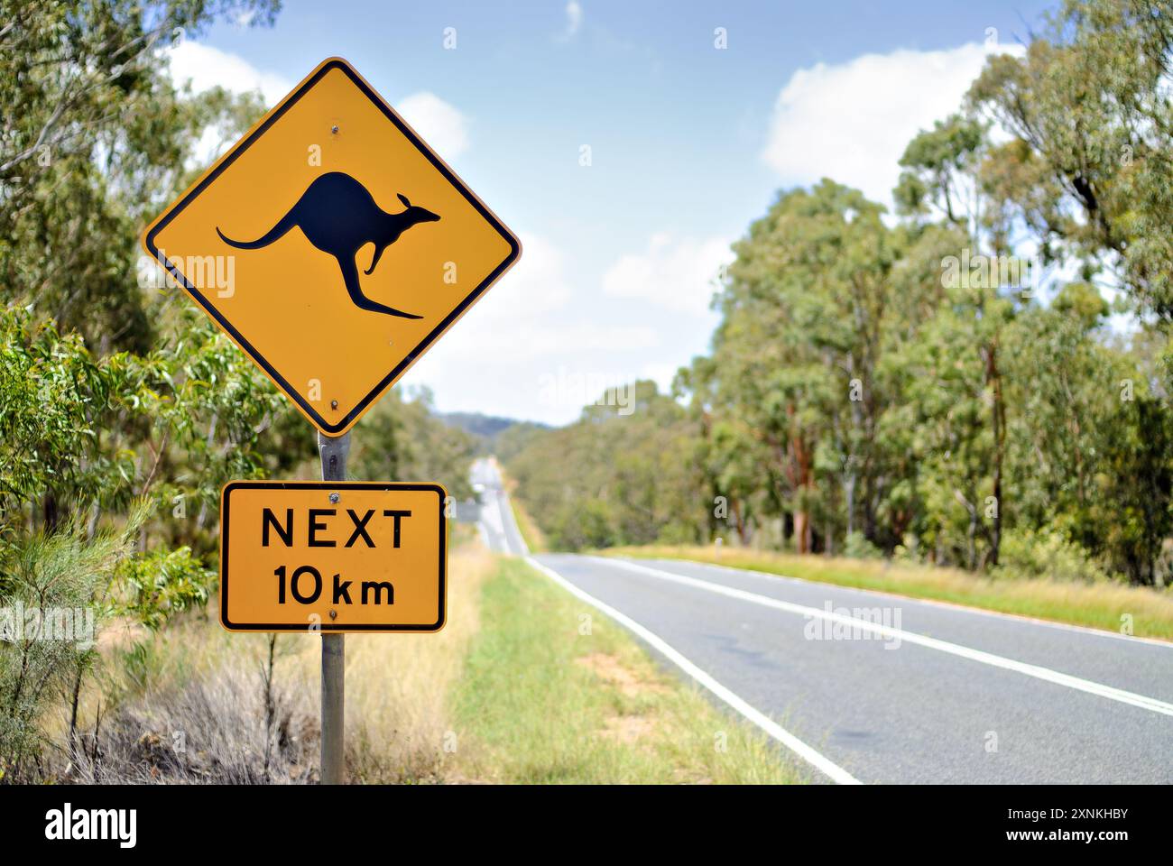 Verkehrsschild, Blechschild "Kangaroo" Australien, Känguru | Kaufen Auf