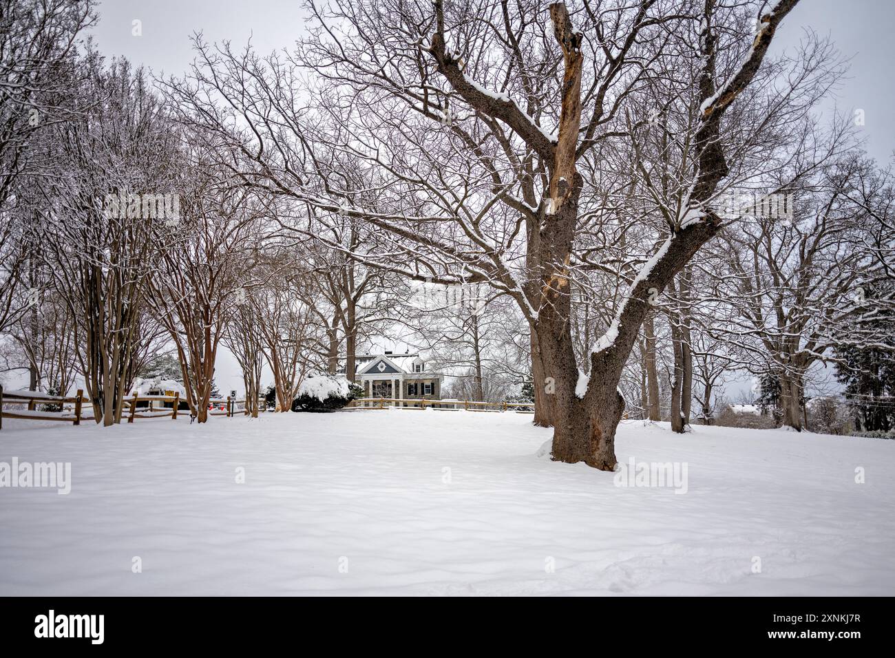 ARLINGTON, Virginia, USA – Eine verschneite Winterszene im Rock Spring Park fängt die ruhige Schönheit von Arlington, Virginia, ein. Der schneebedeckte Park zeigt die ruhige und malerische Winterlandschaft und lädt Besucher ein, Outdoor-Aktivitäten und die natürliche Schönheit der Saison zu genießen. Stockfoto