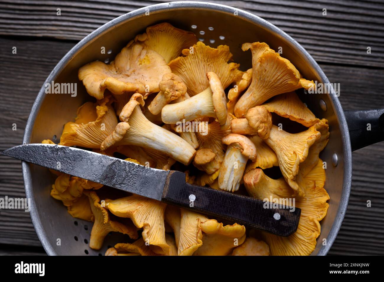 Metallsieb gefüllt mit Pfifferlingen auf einem Holztisch mit Messer. Lebensmittelfotografie Stockfoto