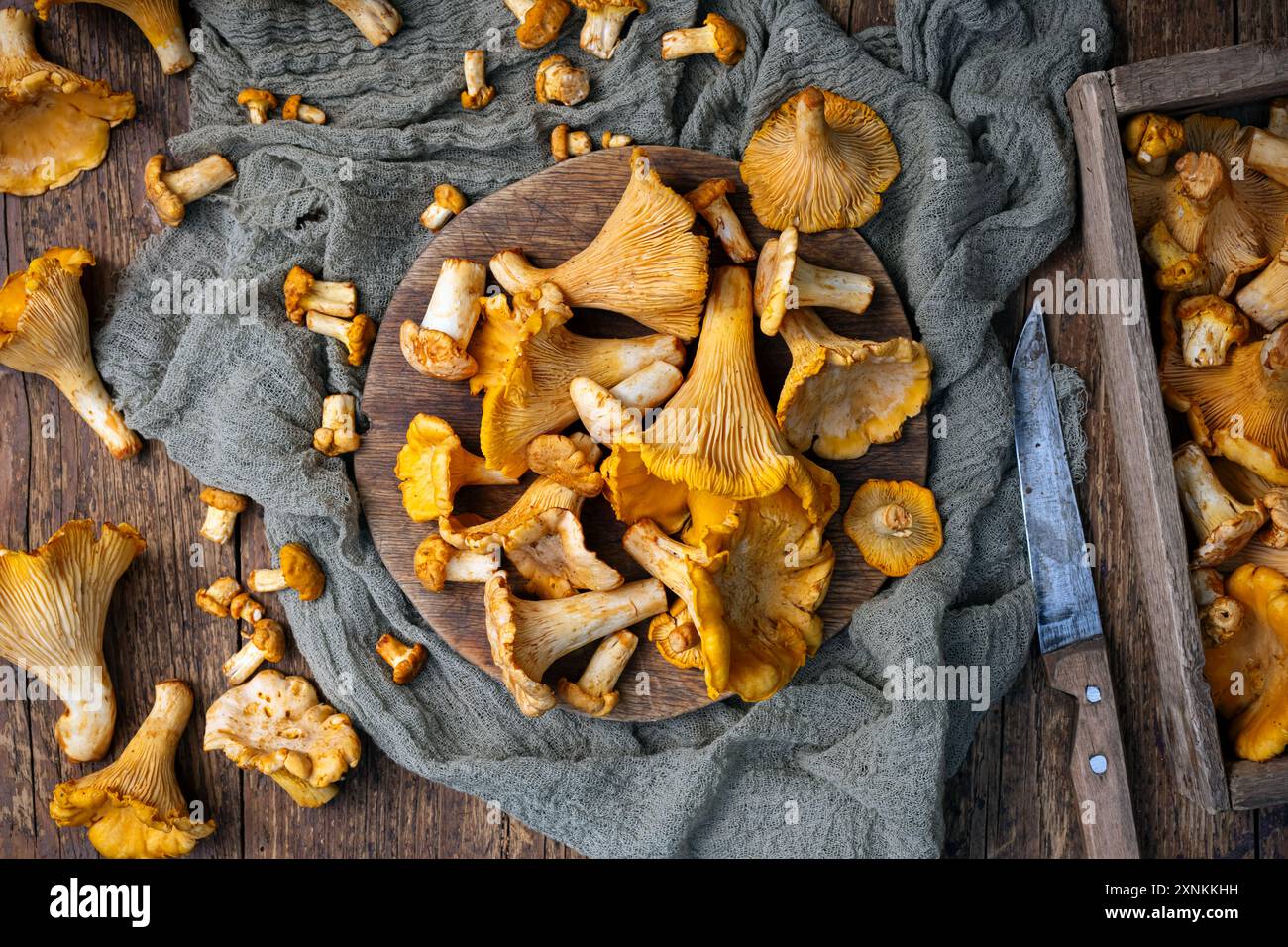 Pfifferlinge auf einem hölzernen Schneidebrett auf rustikalem Tisch mit Messer. Lebensmittelfotografie Stockfoto