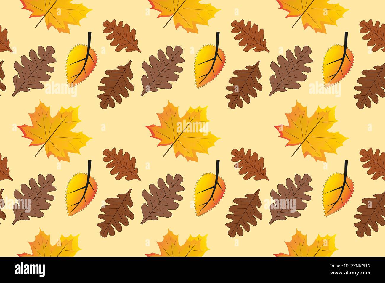 Nahtloses Vektormuster mit bunten Herbstblättern. Ideal für herbstliche Designs, Hintergründe und kreative Projekte. Stock Vektor