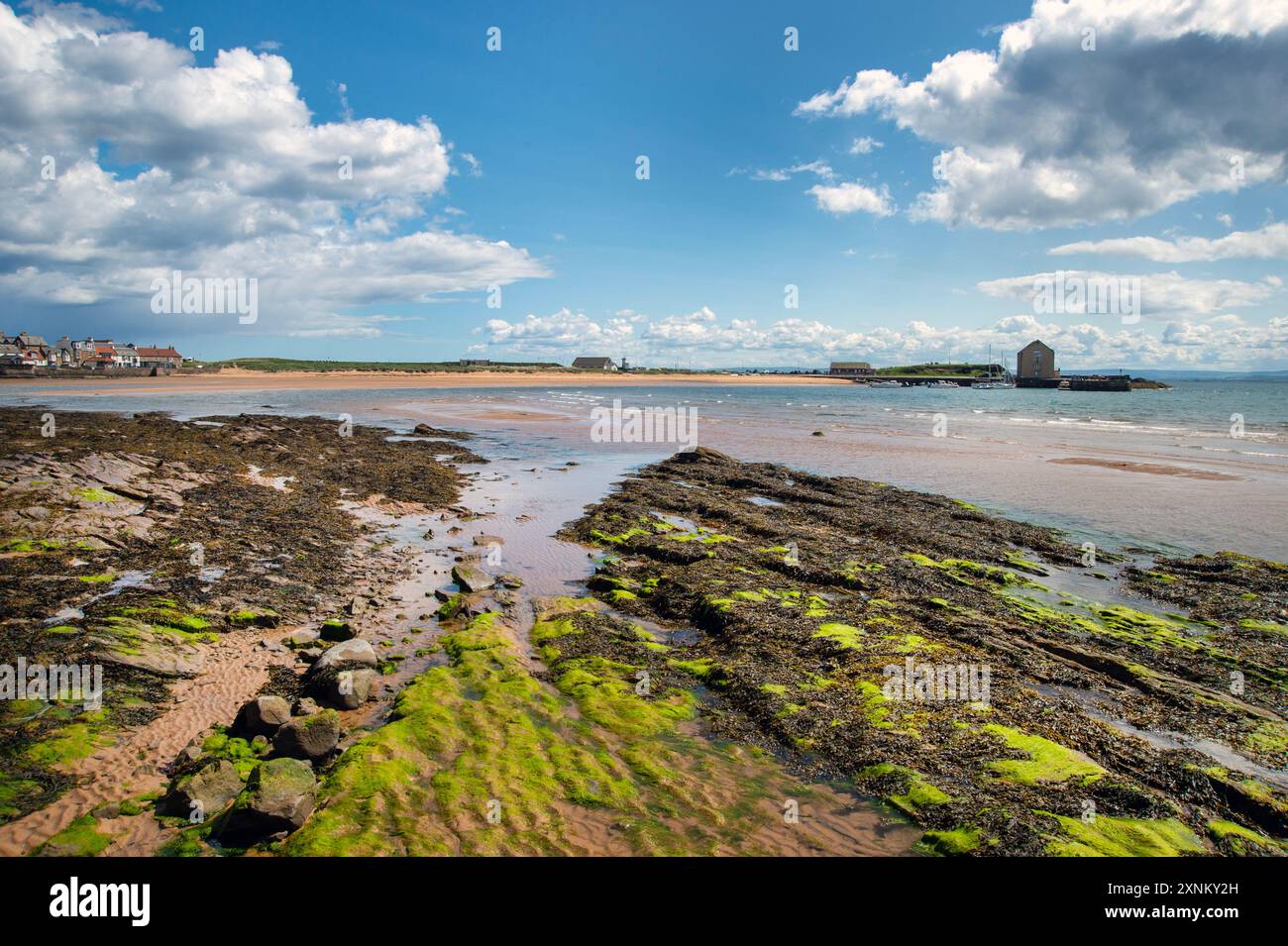 Blick über Elie Beach mit der Flut hinaus in Richtung des Korntanks am Hafen von Elie Fife Schottland Stockfoto