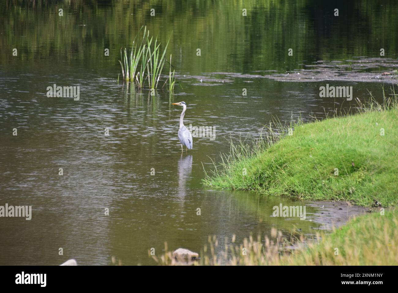 Auf Uhr Stockfoto