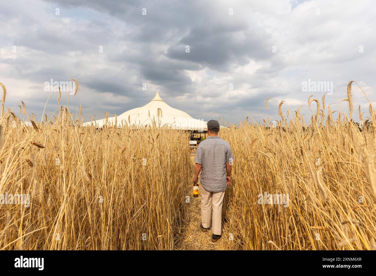 NUR Ein Gast kommt bei den Feierlichkeiten zum Lammas Day von Fielden Whisky an, die den Beginn der Getreideernte und der ersten Veröffentlichung von Harvest 2019 Rye Whisky in Butlers Marston, Warwickshire, markieren. Bilddatum: Donnerstag, 1. August 2024. Stockfoto