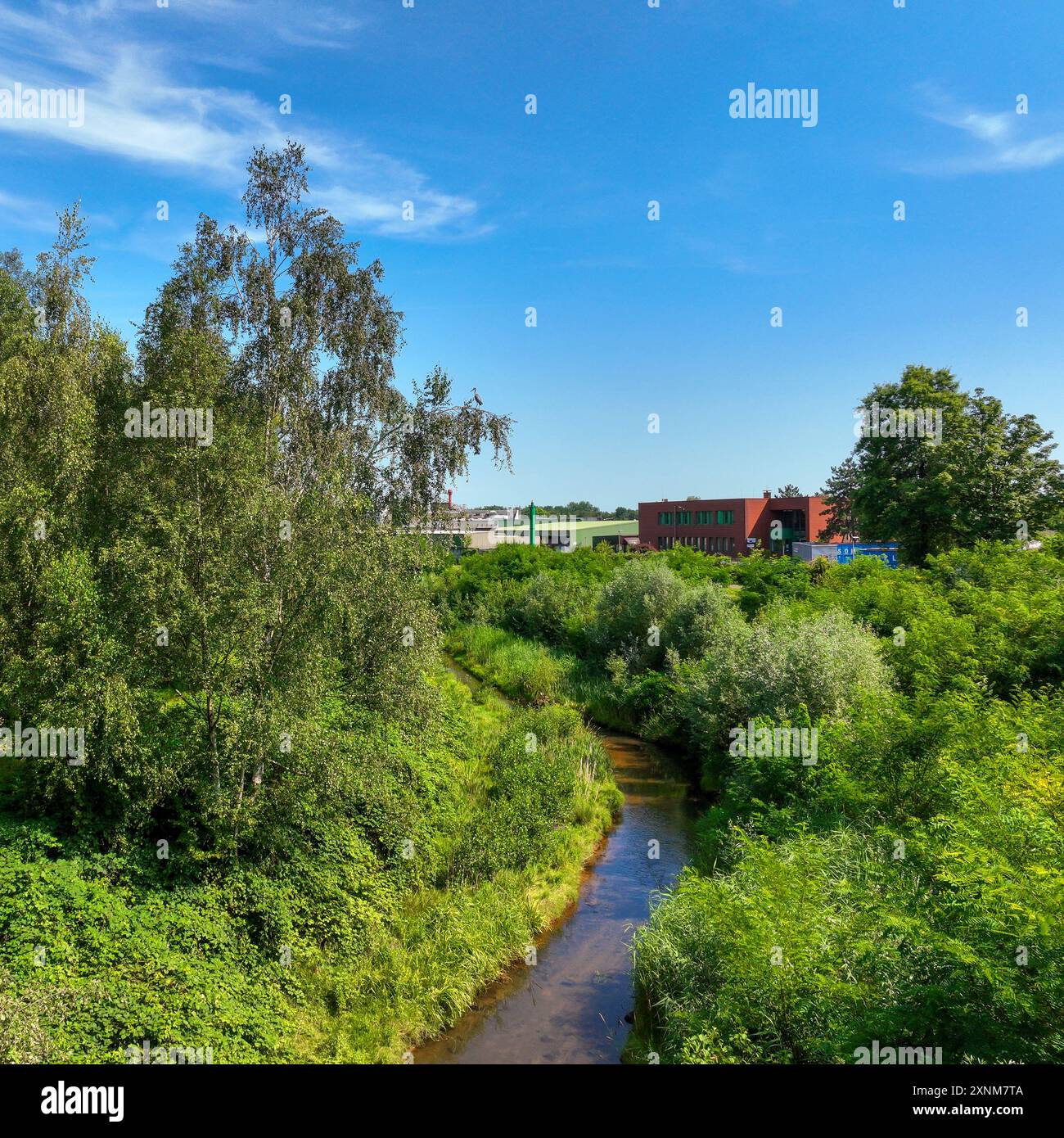 Bottrop-Gladbeck, Nordrhein-Westfalen, Deutschland - der renaturierte Boye, der Nebenfluss der Emscher, wurde in ein naturnahes Wasserkoloss verwandelt Stockfoto