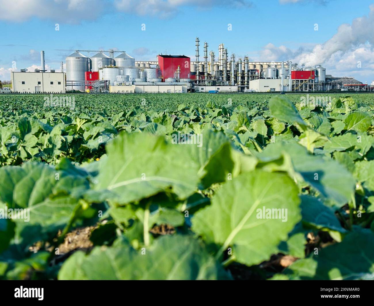 Blick auf Methanol- und Ethanolfabrik. Polnischer Hersteller von Bioethanol und Ethanol aus Maiskorn. Das Produktionswerk befindet sich in der Nähe von Nysa in Stockfoto