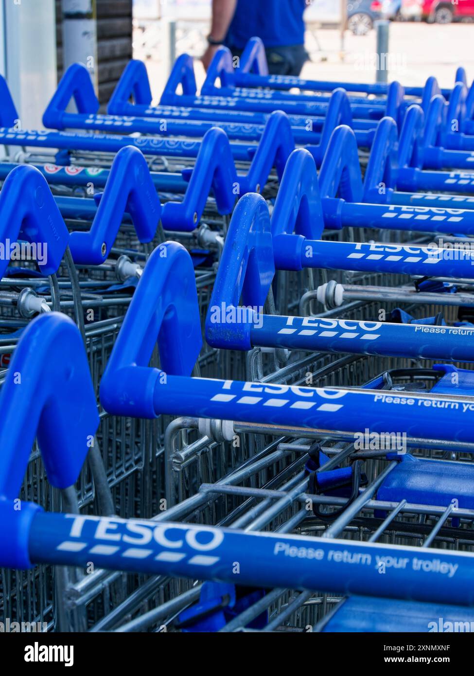 Reihe geparkter Trollies oder Einkaufswagen außerhalb von Tesco mit einem Arbeiter in unscharfem Hintergrund in Faringdon, Oxfordshire, England, Großbritannien Stockfoto