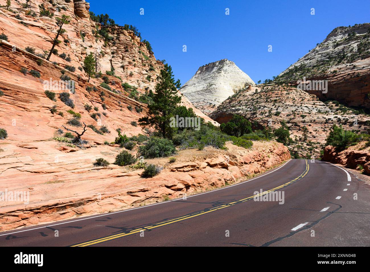 Farbenfroher Zion Park Boulevard Mount Carmel Highway vorbei an roten Klippen Stockfoto