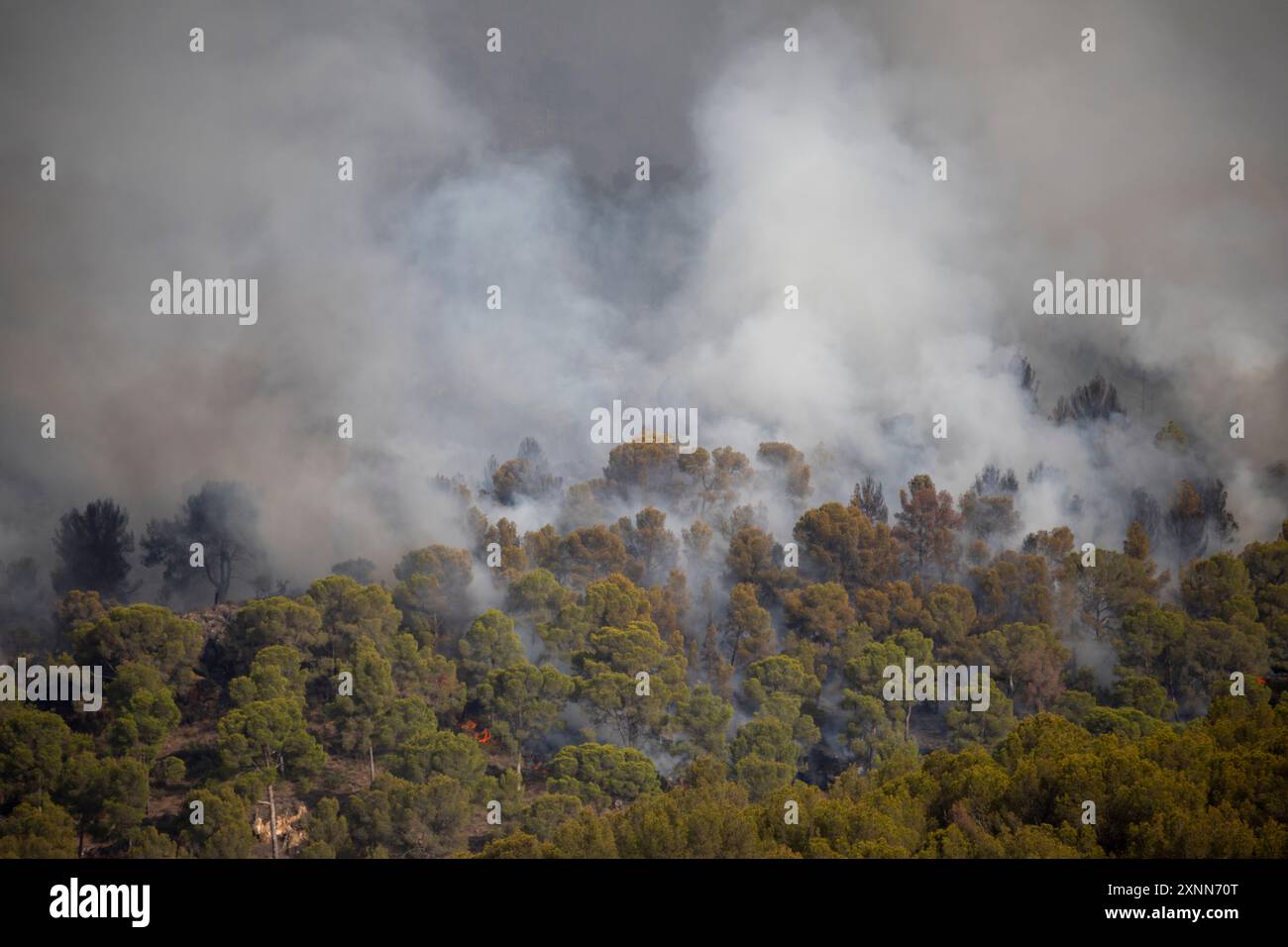 La Alberca, Murcia, Spanien, 1. August 2024, Feuer im Naturpark El Valle gegen 17 Uhr Stockfoto