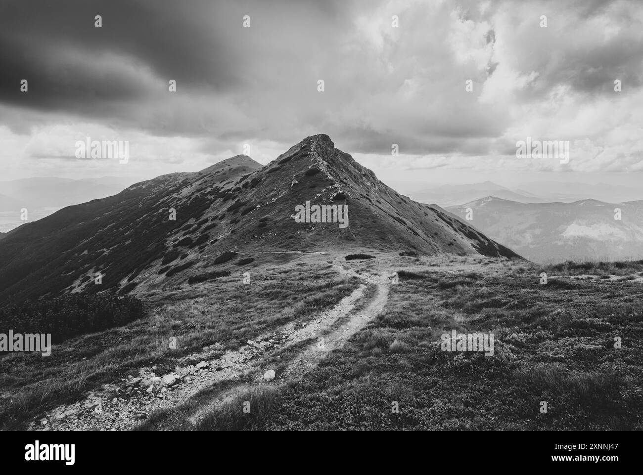 Jalovecka kopa, Blick von Jalovecke sedlo, Rohace, Westtatra, Slowakei. Landschaft mit Gipfel, Gipfel und Gipfel des Berges. Bewölktes, bewölktes Wetter Stockfoto