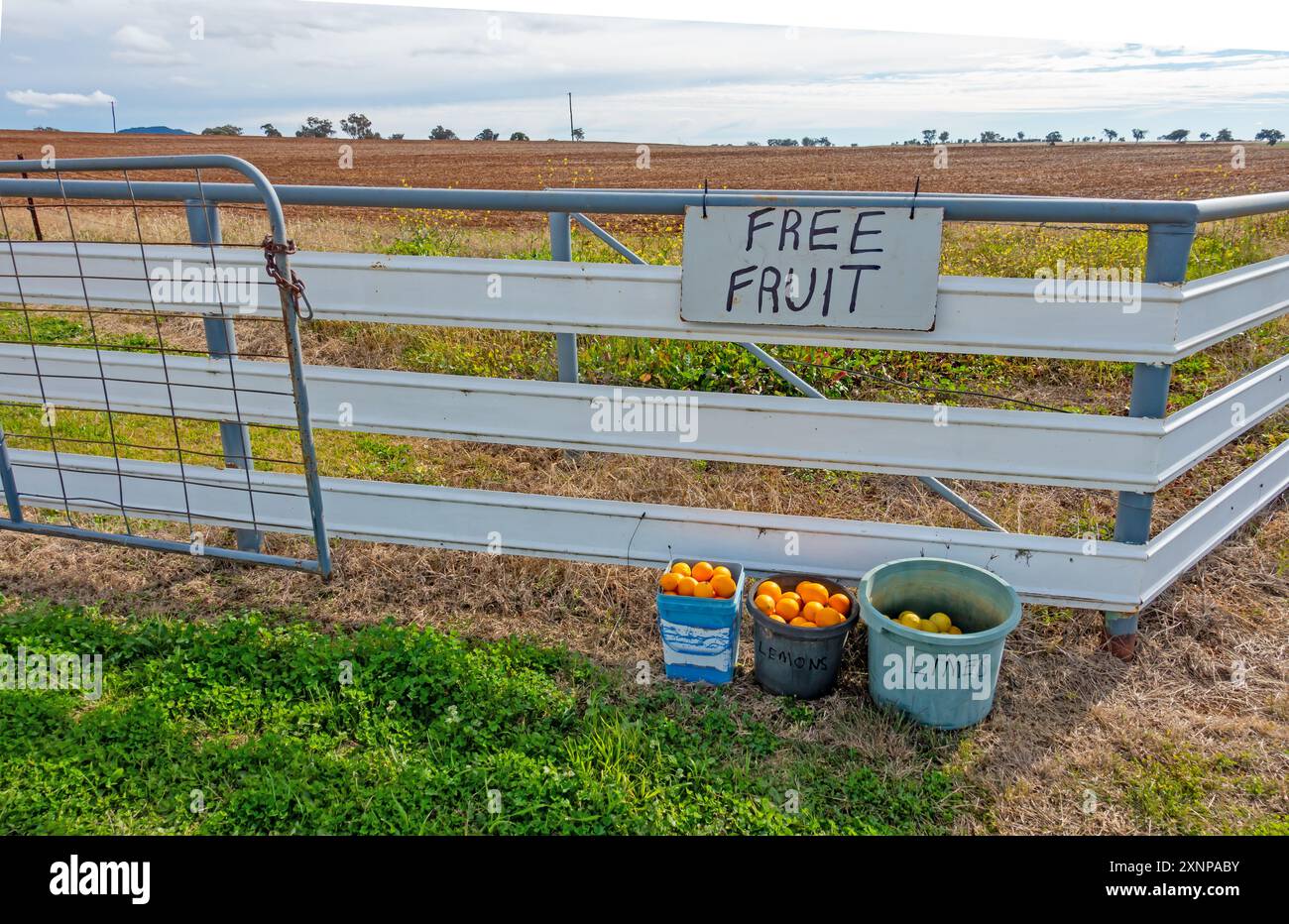 Kostenloses Obstschild und Zitrusfrüchte am Farmtor in Tamworth NSW Australien. Stockfoto